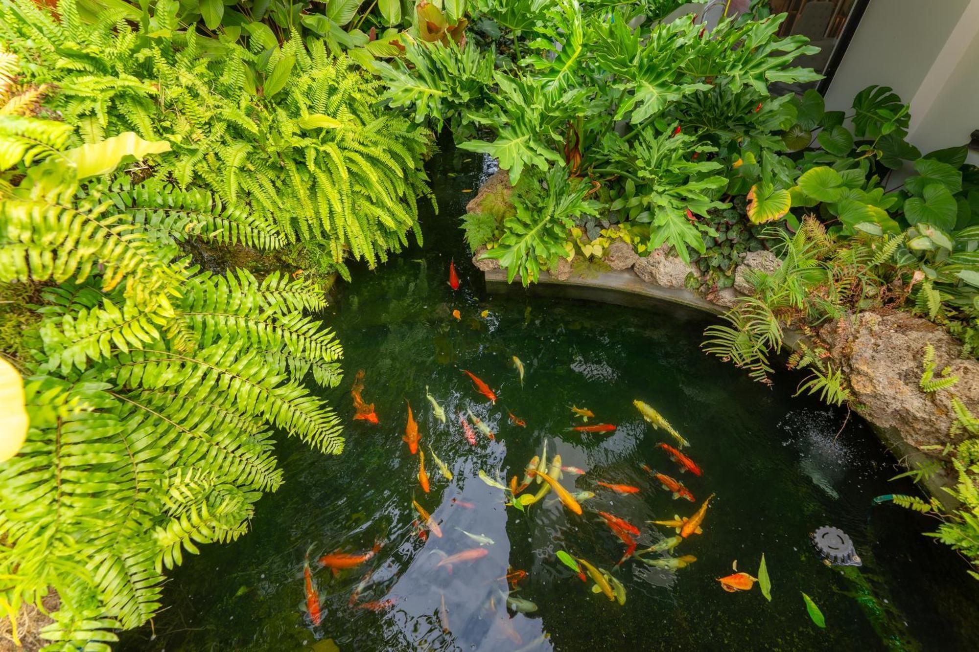 Verbena Chiangmai Chiang Mai Extérieur photo